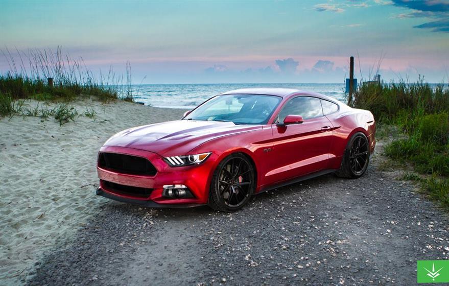 2015 Mustang GT,Ford