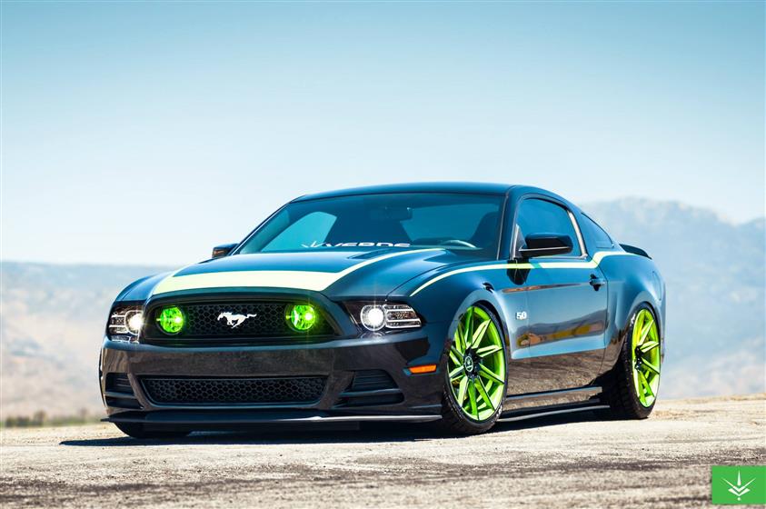 2014 Ford Mustang GT,Ford
