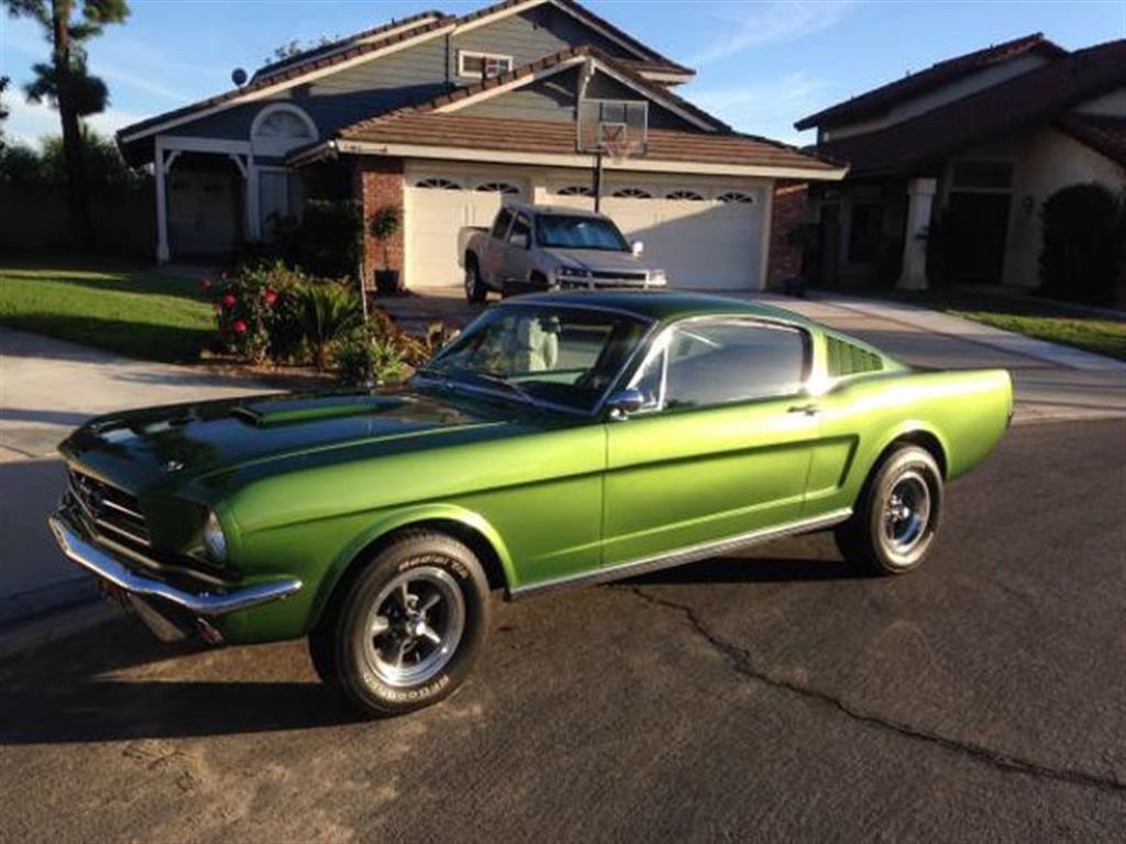 1965 Ford Mustang Fastback For Sale - Magnusson Classic Motors in